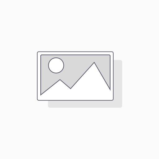 HARDE SCHIJF-3,5 INCH-2 TB I Farfisa 