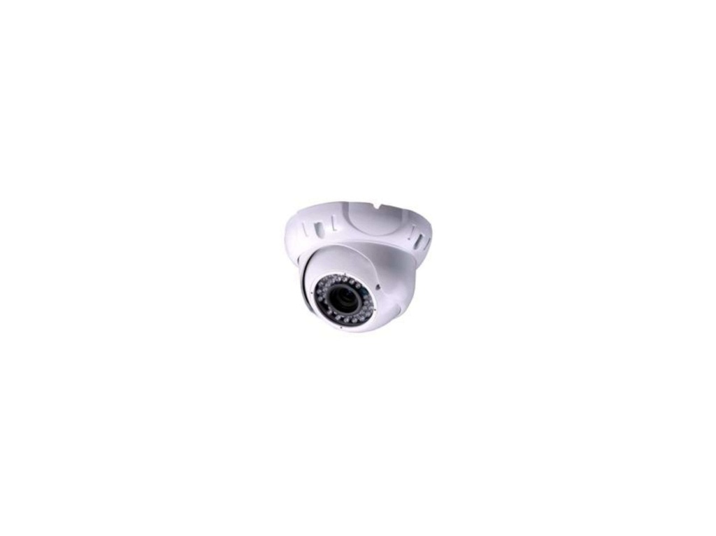 KOEPEL CAMERA-KLEUR-1000 TVL-12 VDC-LENS 2,8-12 MM-IP54 I Farfisa 