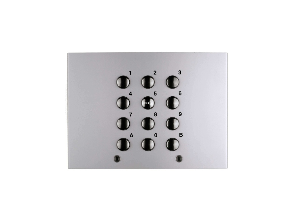 FRONTPLAAT MET CODEKLAVIER-4 CODES-2 RELAIS-MODY I Farfisa