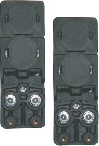 [A90812P] SET EINDERITMAGNETEN VOOR SL EN PASS